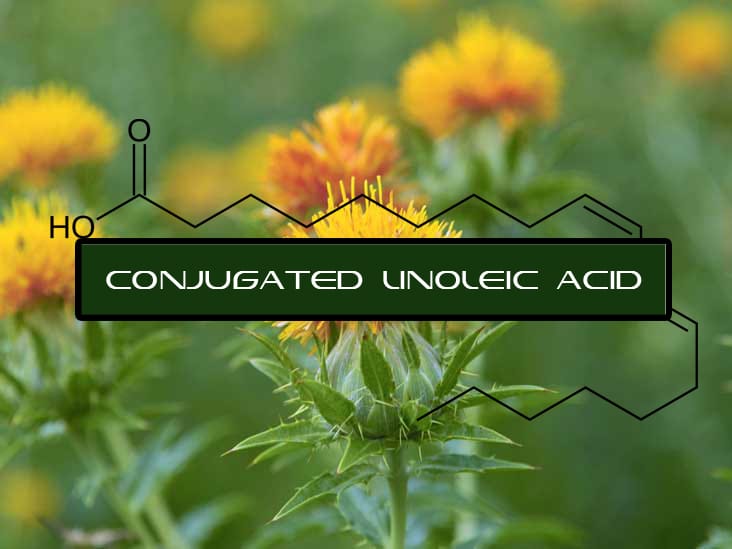 CONJUGATED LINOLEIC ACID Interstellar Blends Activate Your Super