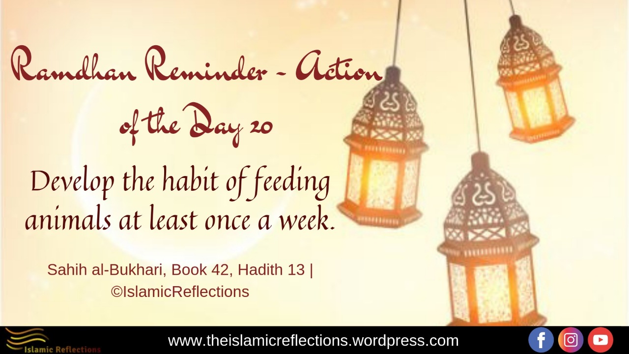 Ramadan Reminders Day 20 2019 Action of the Day Islamic