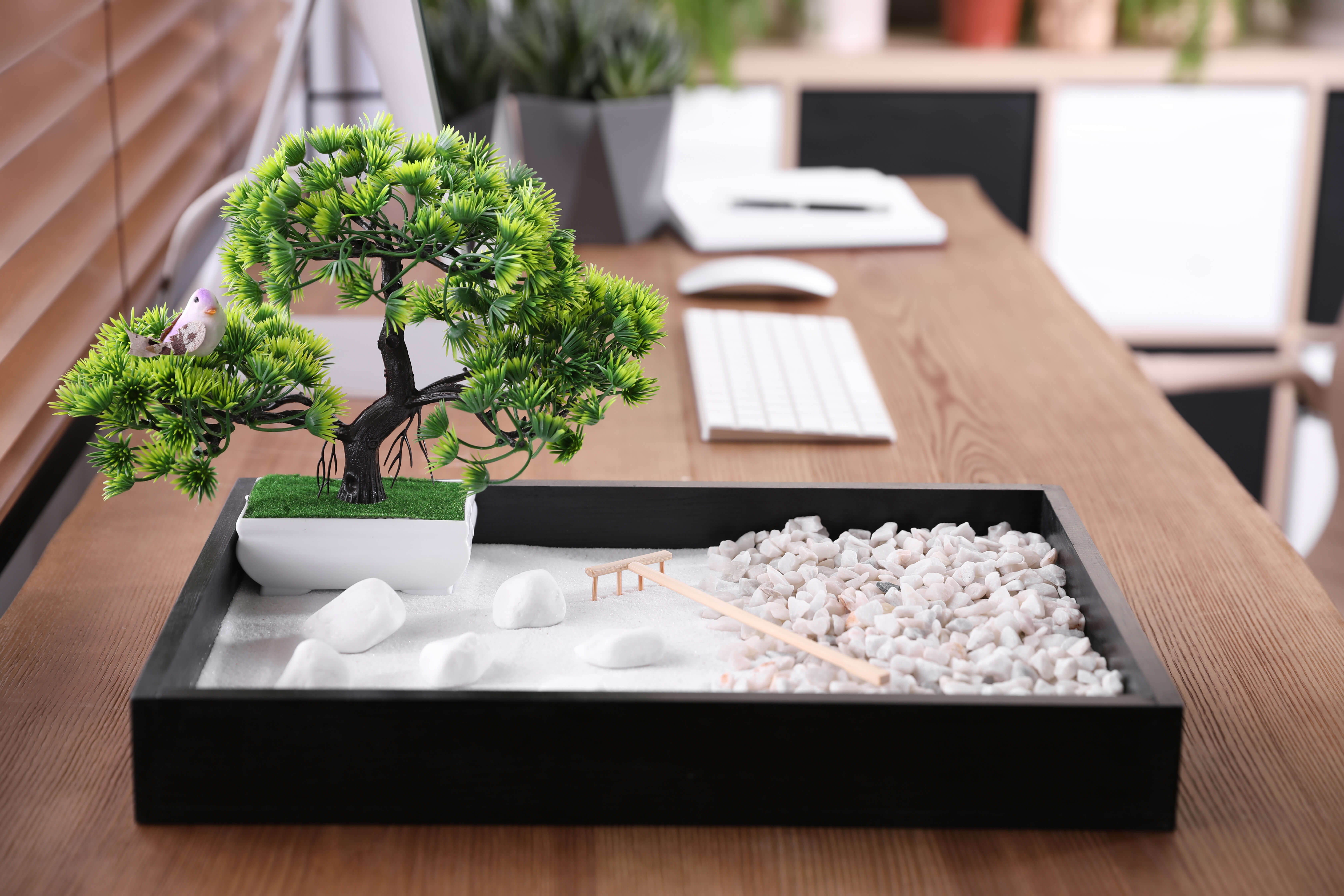 The Best Zen Garden Kit for Beginners