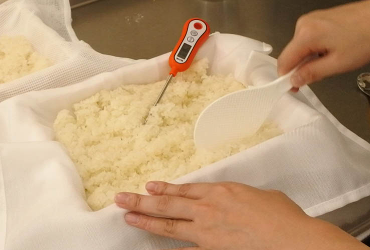 How to Make Koji Rice —Without Fail!