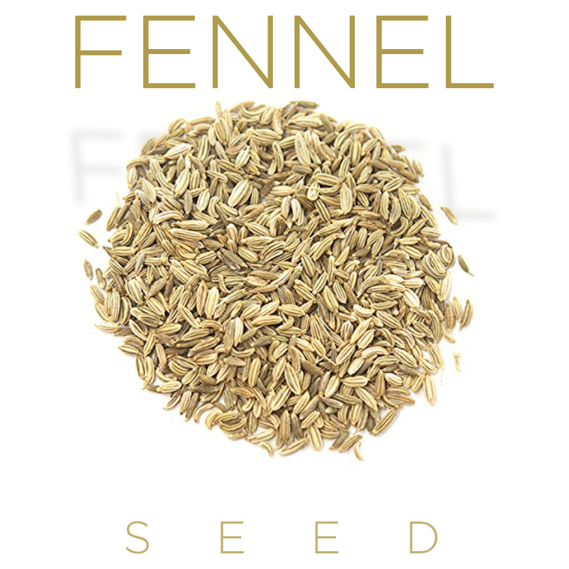 Fennel Seeds The Jazz Chef