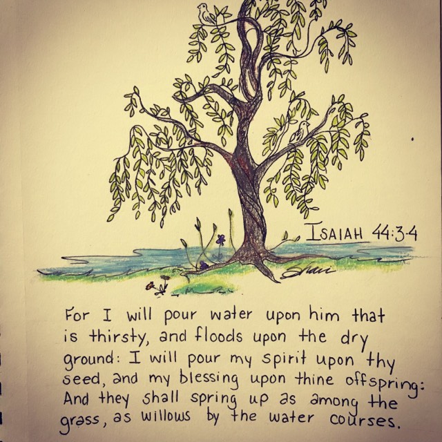 A Conversation with the Creator The Jesus Chick