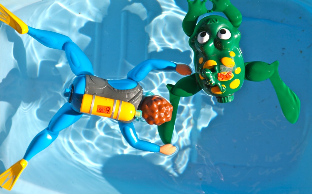 Why Can't We Be Friends? jigsaw puzzle in Macro puzzles on