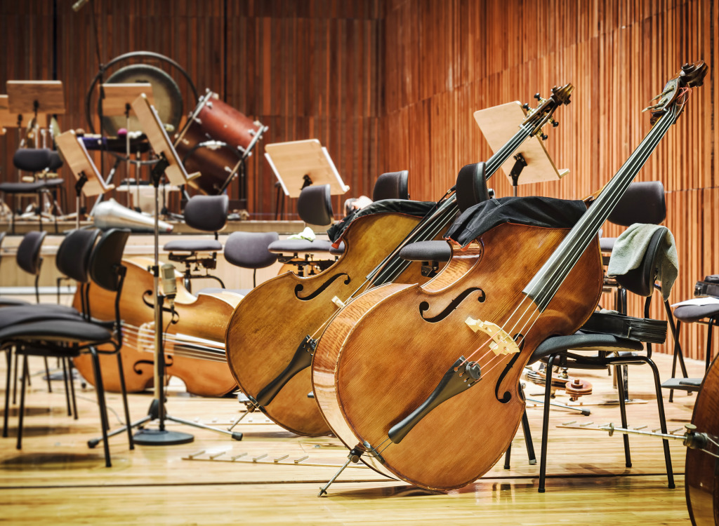 Music Instruments on Stage jigsaw puzzle in Puzzle of the Day puzzles