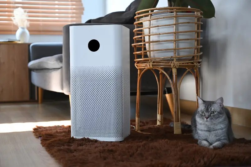 What to Look for When Buying an Air Purifier Thejit