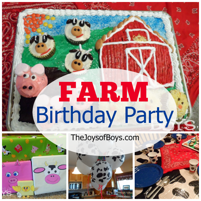 Farm Themed Birthday Party Baby's First Birthday Bash