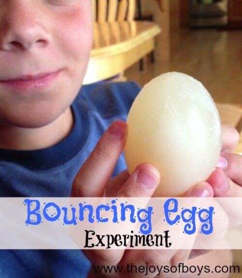 Bouncing Egg Experiment Simple Science