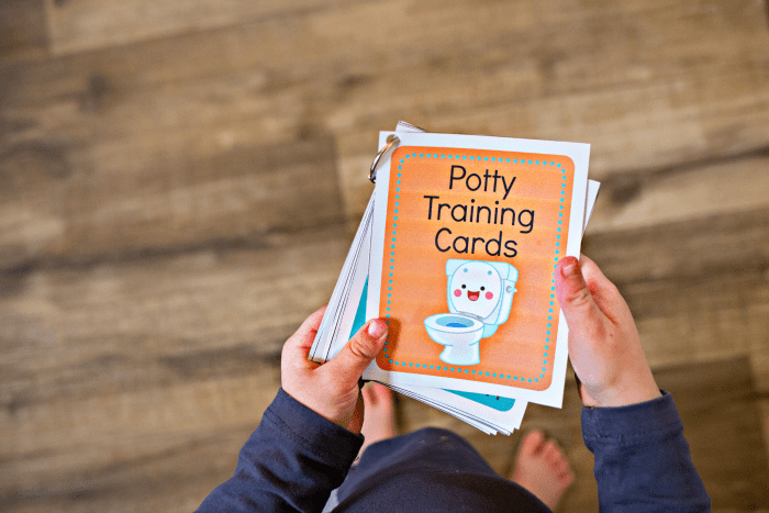 Potty Training Visual Schedule Cards - The Joys of Boys