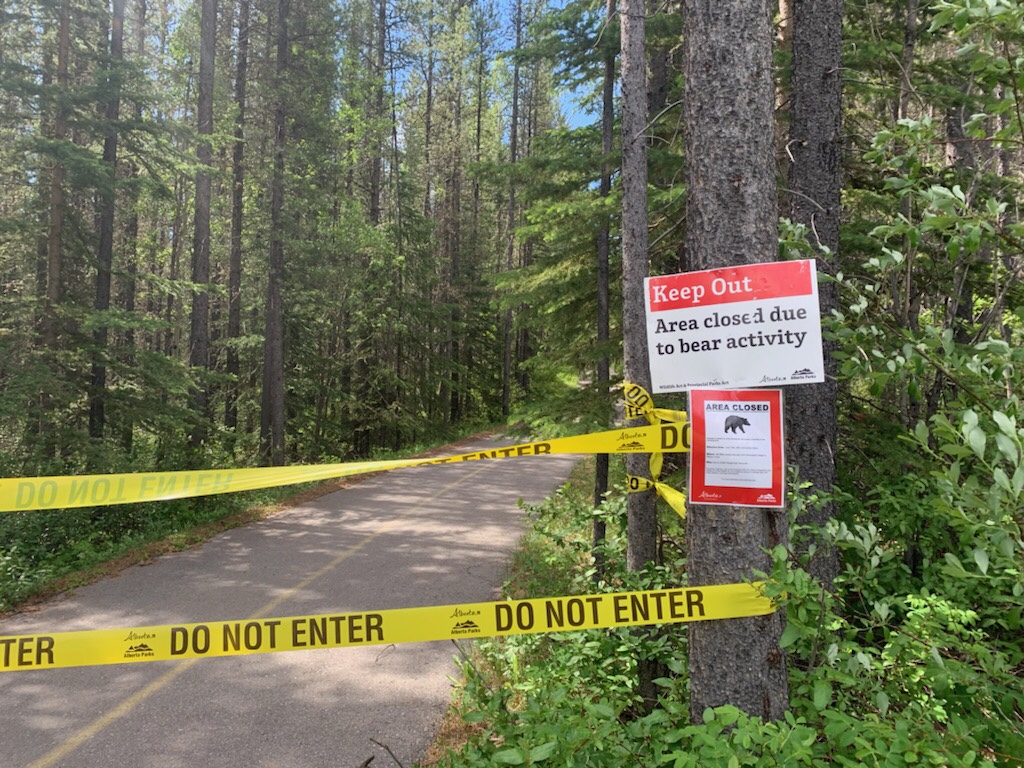 Kananaskis Is it worth the 90 park fees? The Joys of Retirement