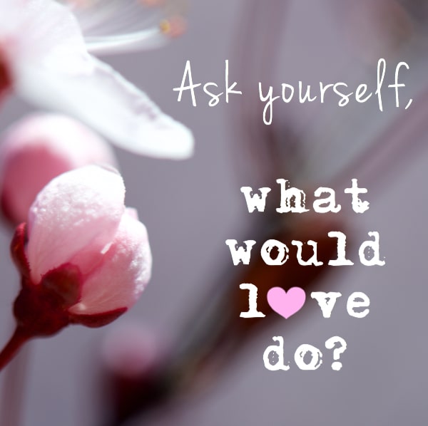 A Course in Miracles Made Easy Key Points To Live By