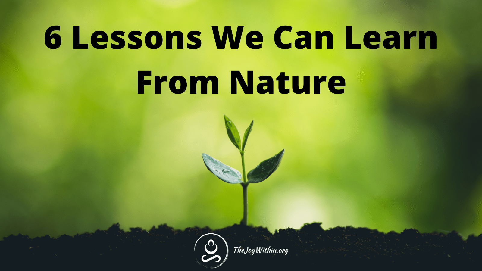 6 Lessons We Can Learn From Nature The Joy Within
