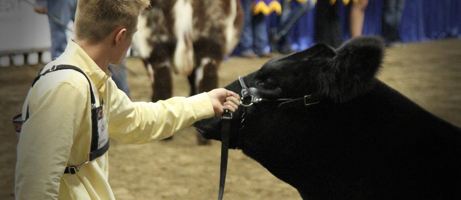 The Judging Connection