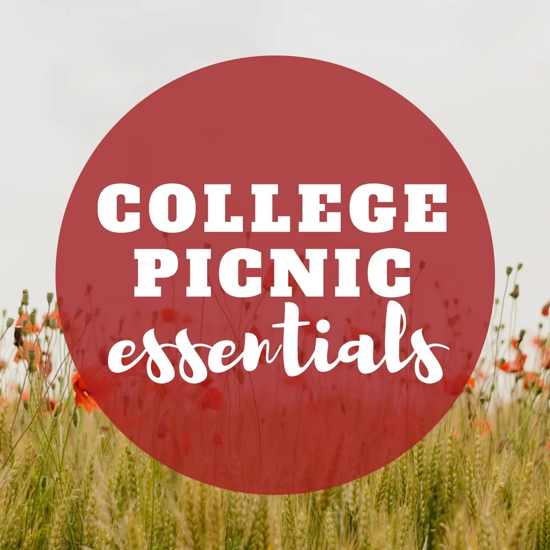 4 Picnic Essentials to Pack for Your College Station Picnic