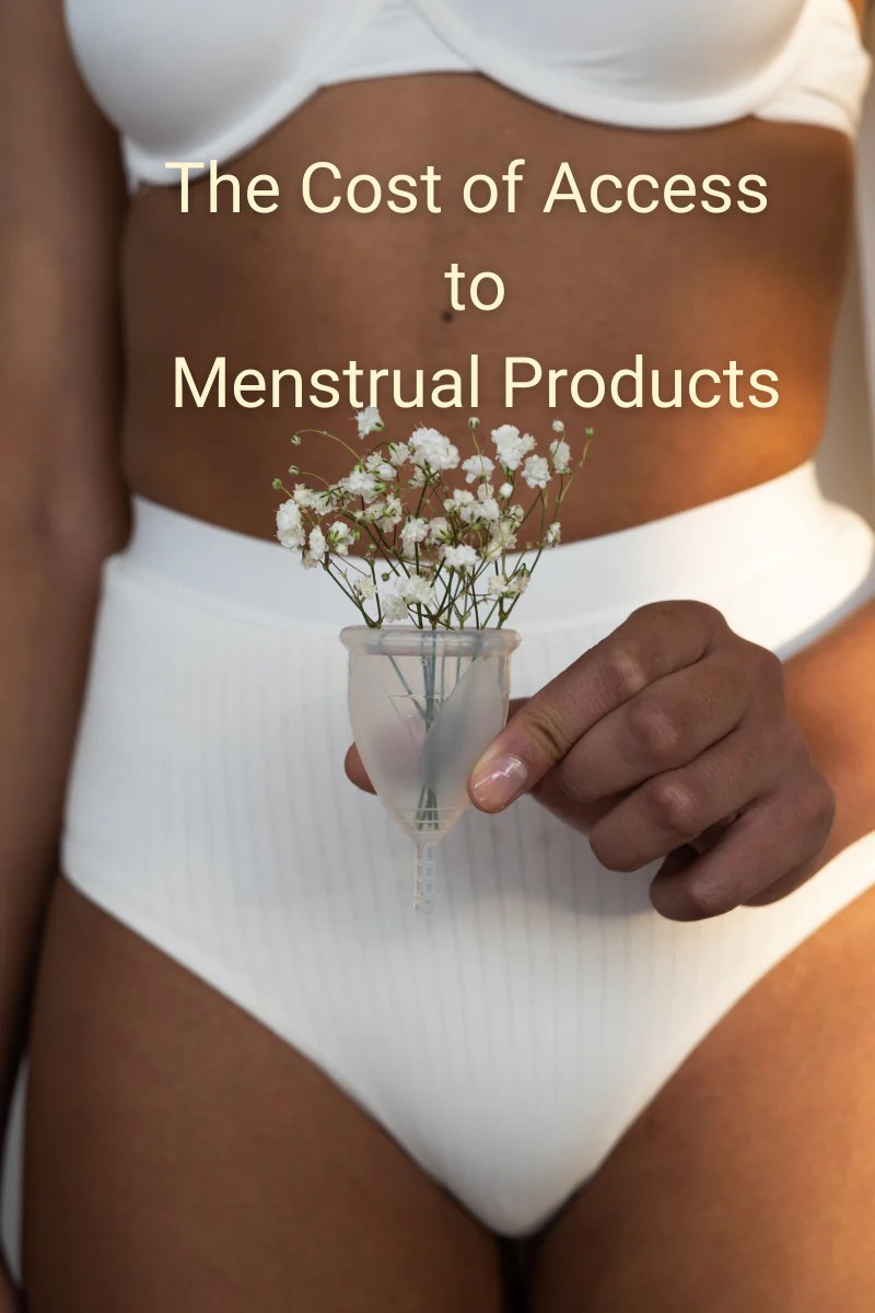 The Cost of Menstrual Products JUNE The Original June Menstrual Cup