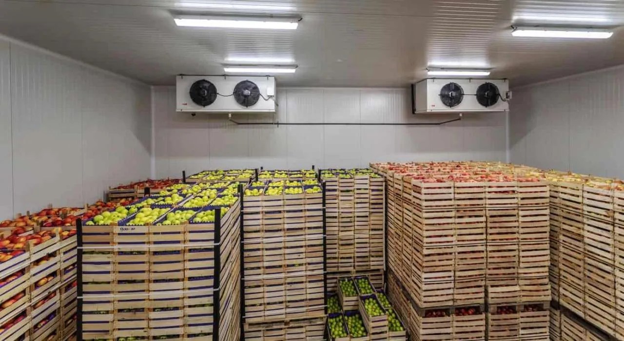 Cold storage shortage triggers fruit imports from abroad The Kabul