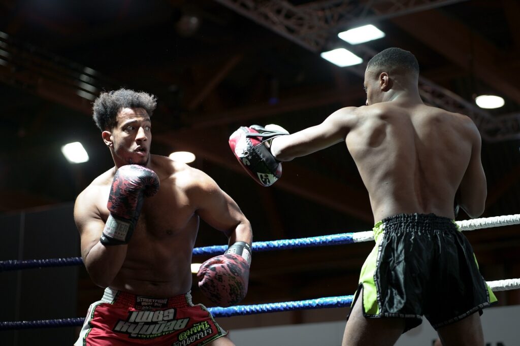 15 Best Striking Martial Arts (Ultimate List & Guide 2024)
