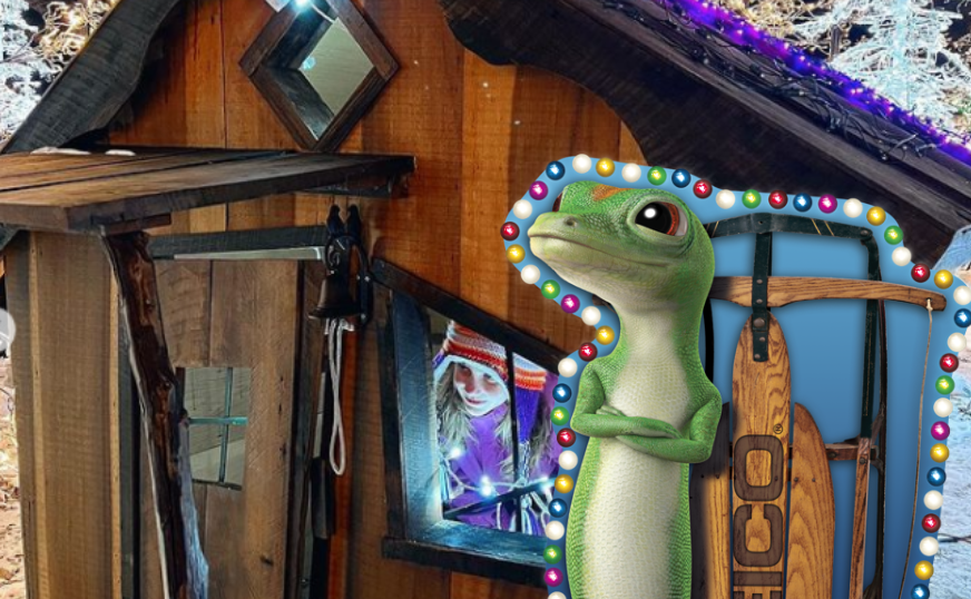 GEICO® Holiday Lights Gecko Activation The KAS Group Inc.