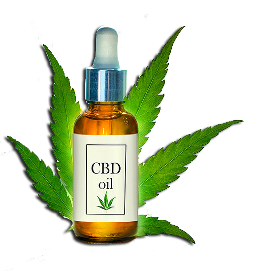 Why Jocosa CBD Oil Work OR Scam? The Katy News