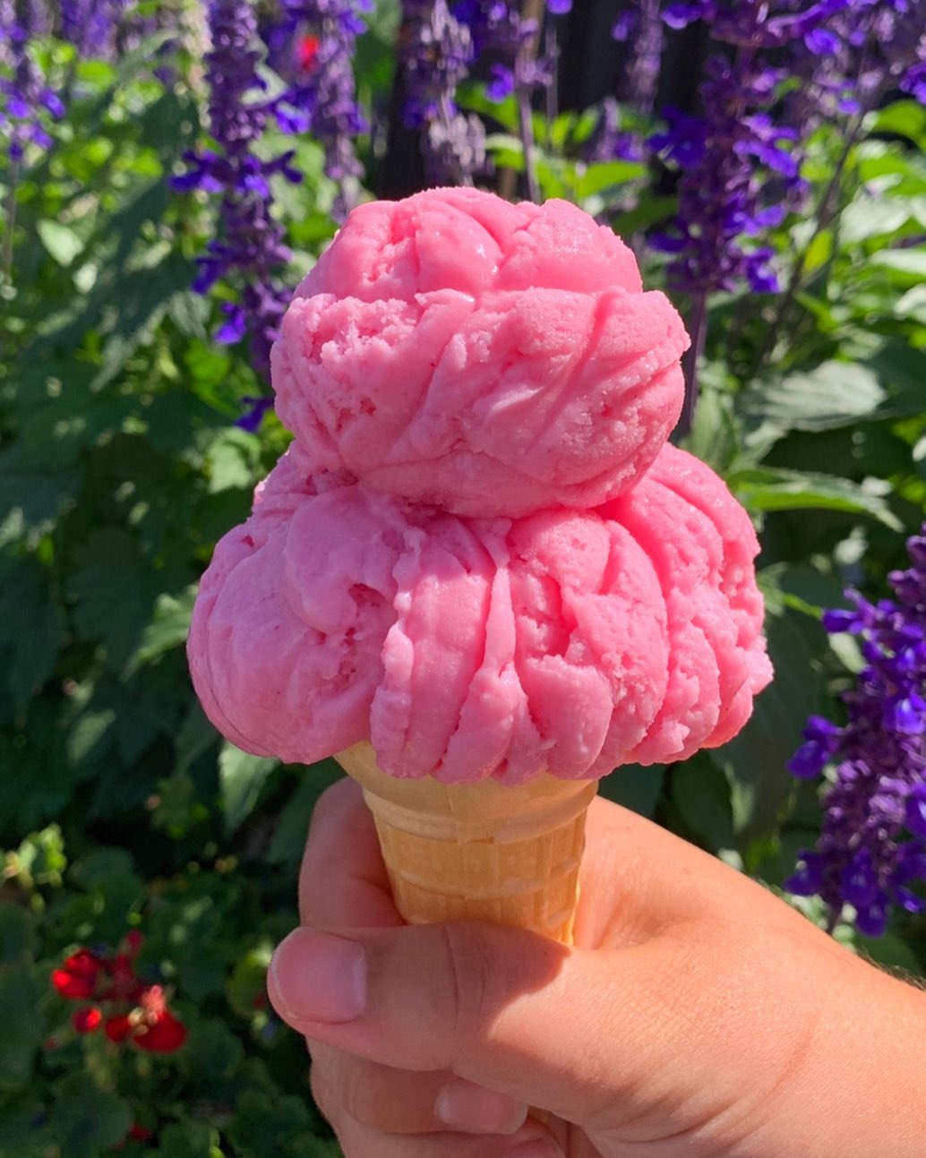 Central Smith Ice Cream Peterborough & the Kawarthas