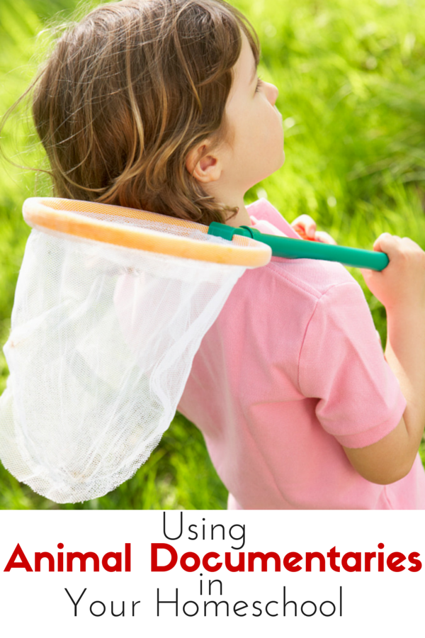 Using Animal Documentaries in Your Homeschool The Kennedy Adventures!