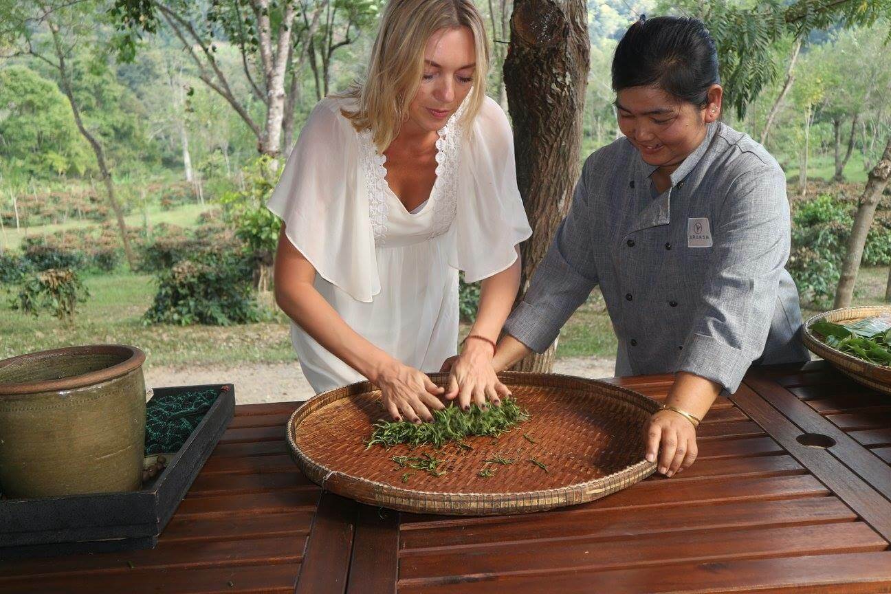 The Kettle Shed visits a tea plantation! INDEPENDENT ETHICAL ARTISAN
