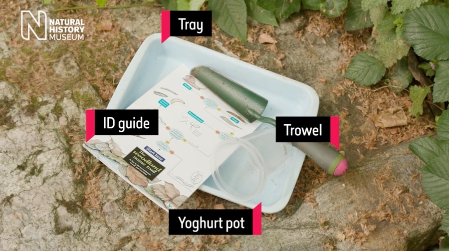 How to make a pitfall trap The Kid Should See This