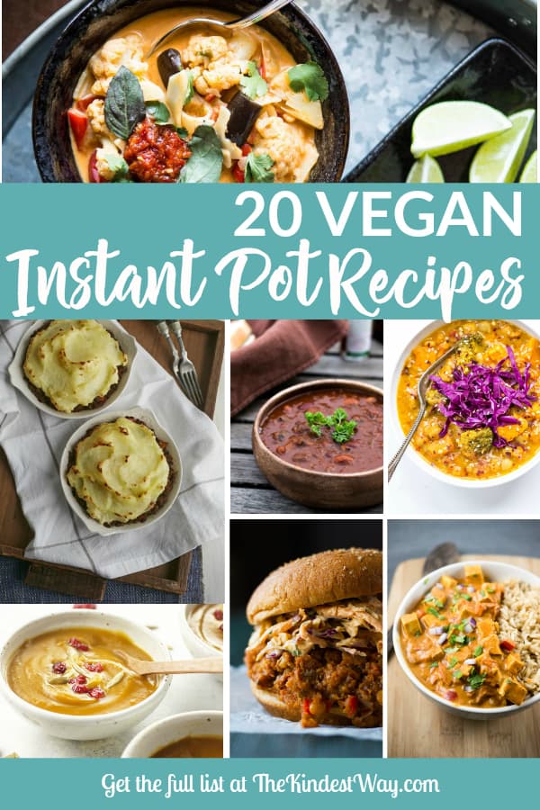 20 Easy Vegan Instant Pot Recipes to Try Today! The Kindest Way