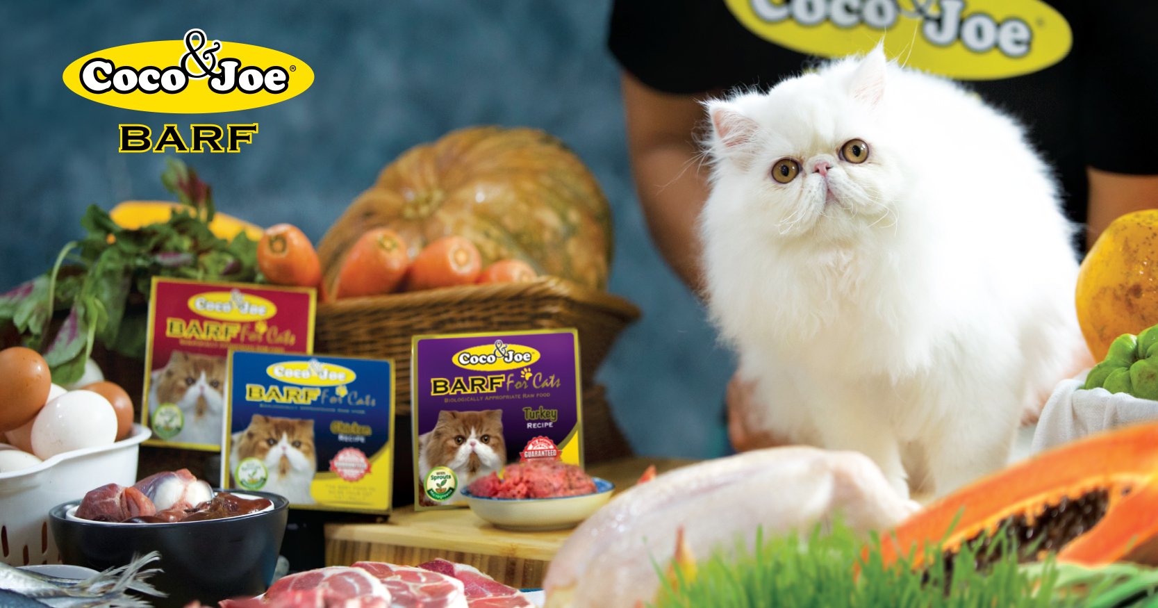 Top 11 Dog Food Brands In Malaysia You Must Get For Your Fur Babies