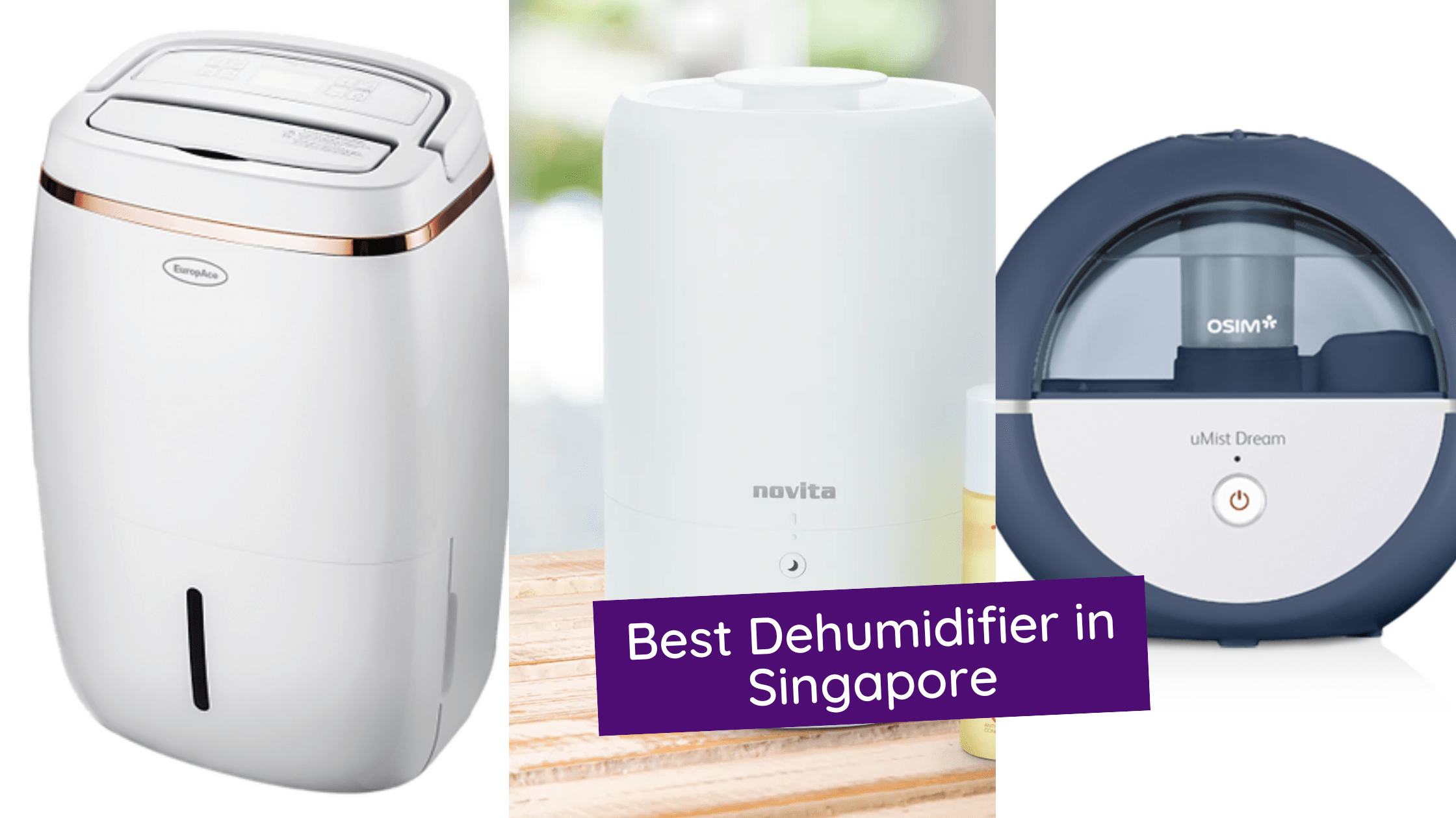 10 Best Dehumidifier In Singapore To Maintain Clean Air In Your Home