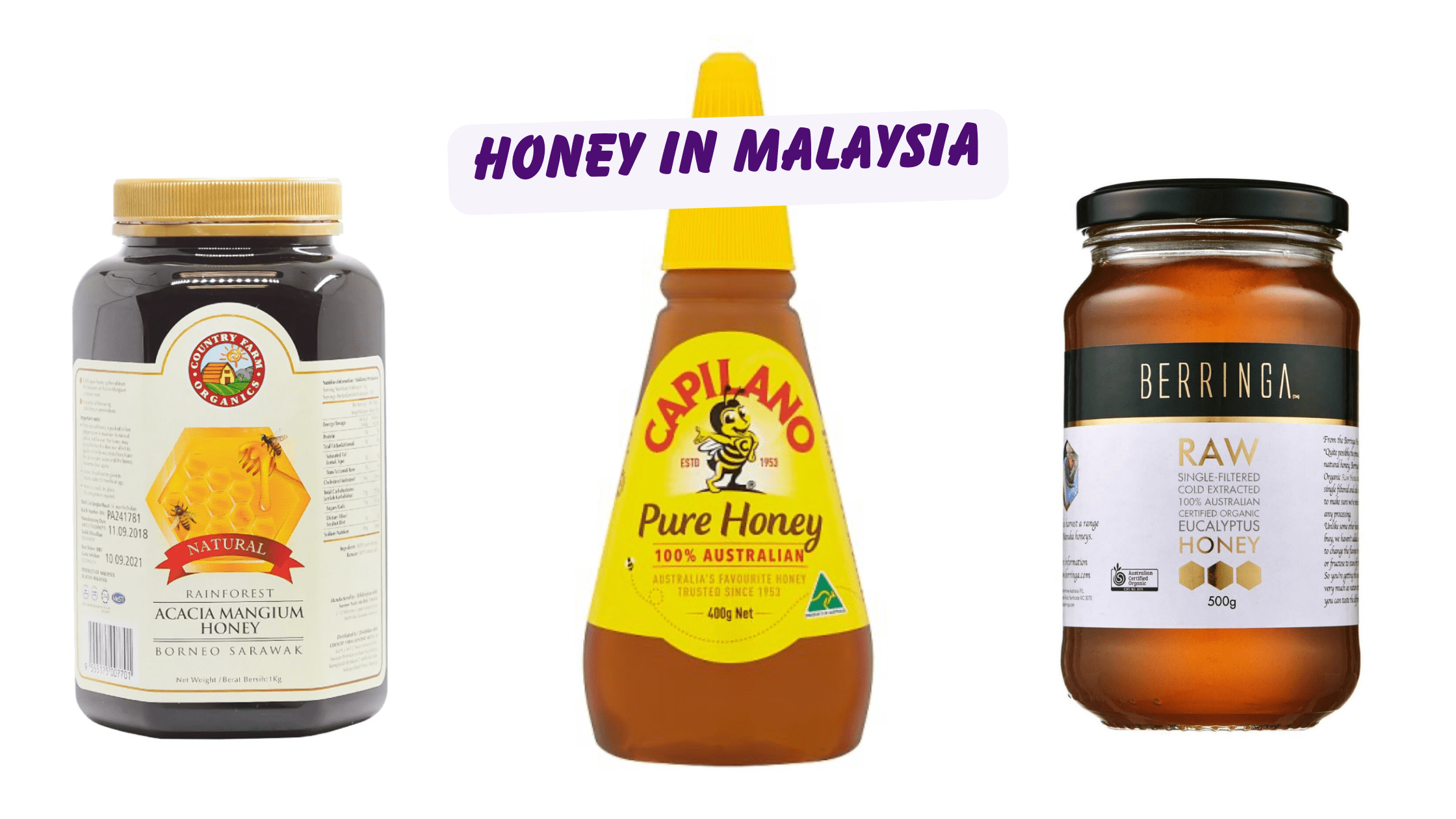 11 Honey In Malaysia From Raw Honey To Manuka Honey The Kind Helper