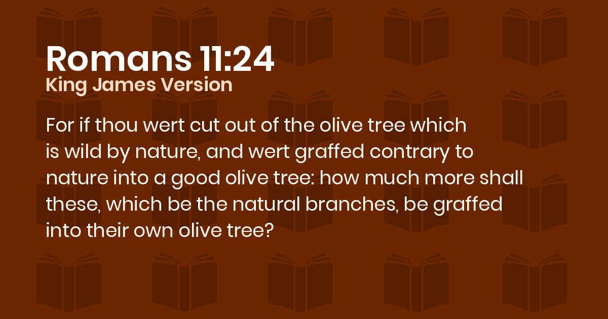 Romans 1124 KJV For if thou wert cut out of the olive tree which is