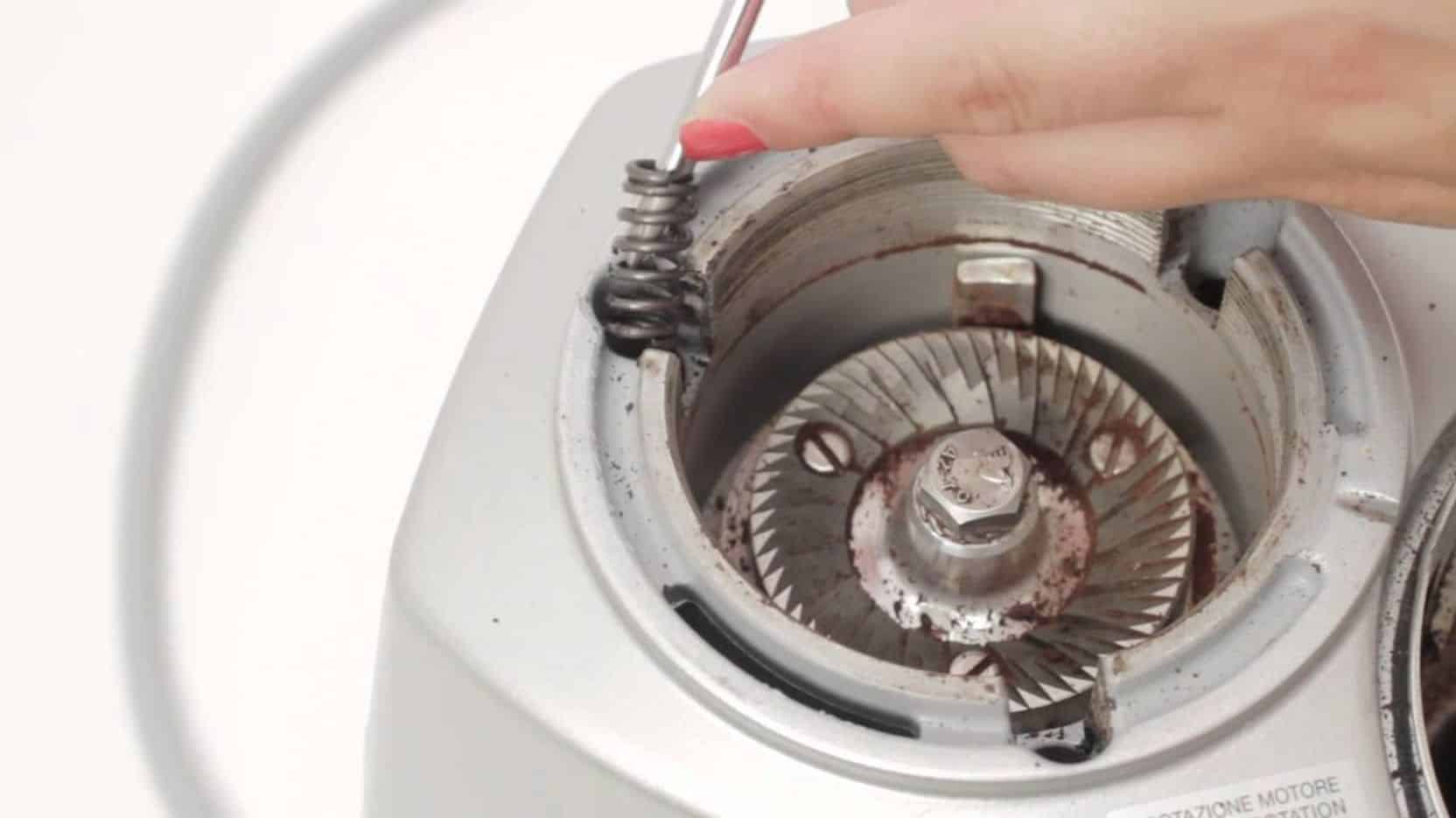 Coffee grinder maintenance The Kitchenary Lab