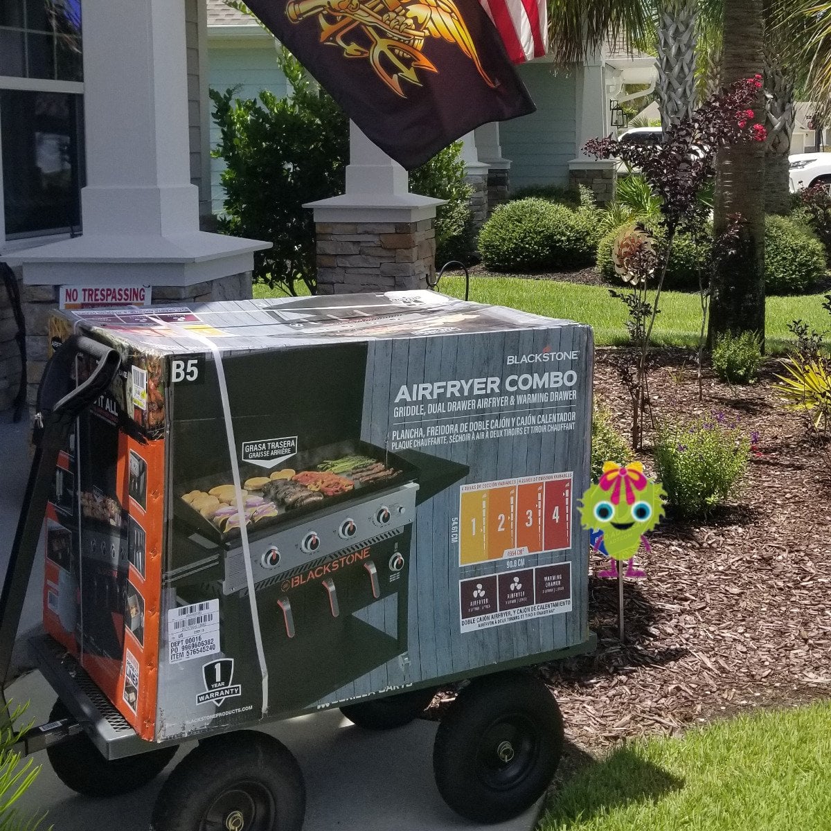 Blackstone Grill with Air Fryer