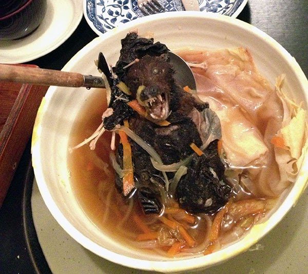 Nasty Foods The World’s Most Disgusting Foods (With Pictures) The