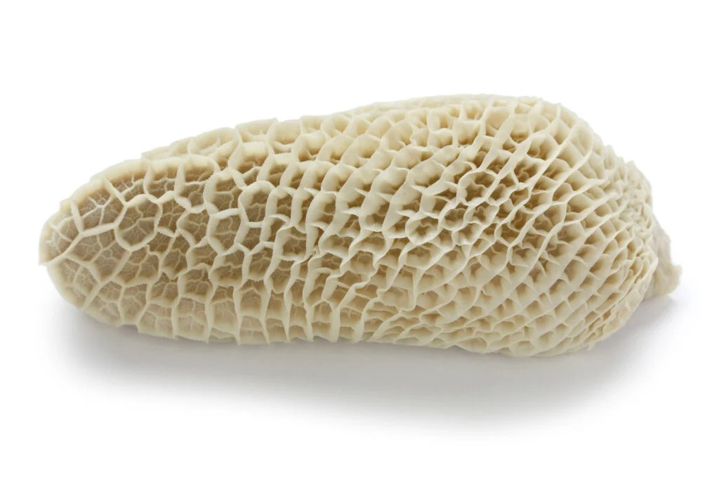 What Is Tripe? The Kitchen Community