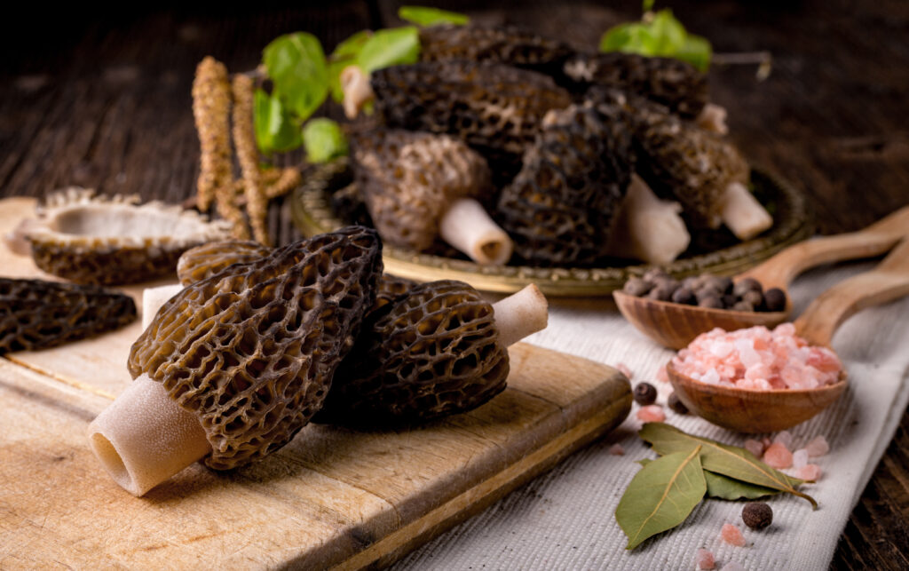 Most Expensive Mushrooms in the World The Kitchen Community