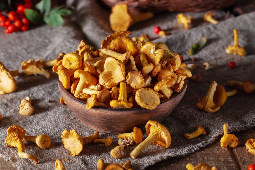 Most Expensive Mushrooms in the World The Kitchen Community