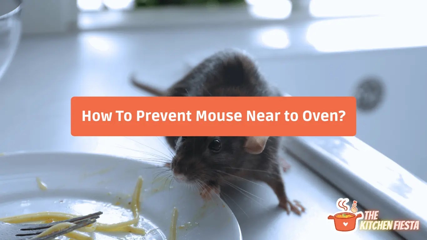 Mouse Droppings In The Oven How To Clean And Prevent Them?