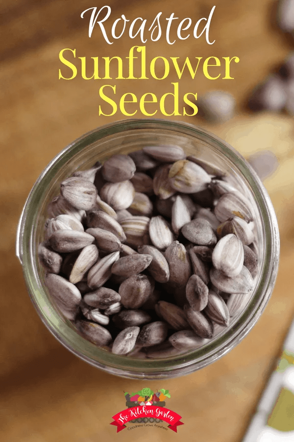Roasted Sunflower Seeds (Kid Approved!) The Kitchen Garten