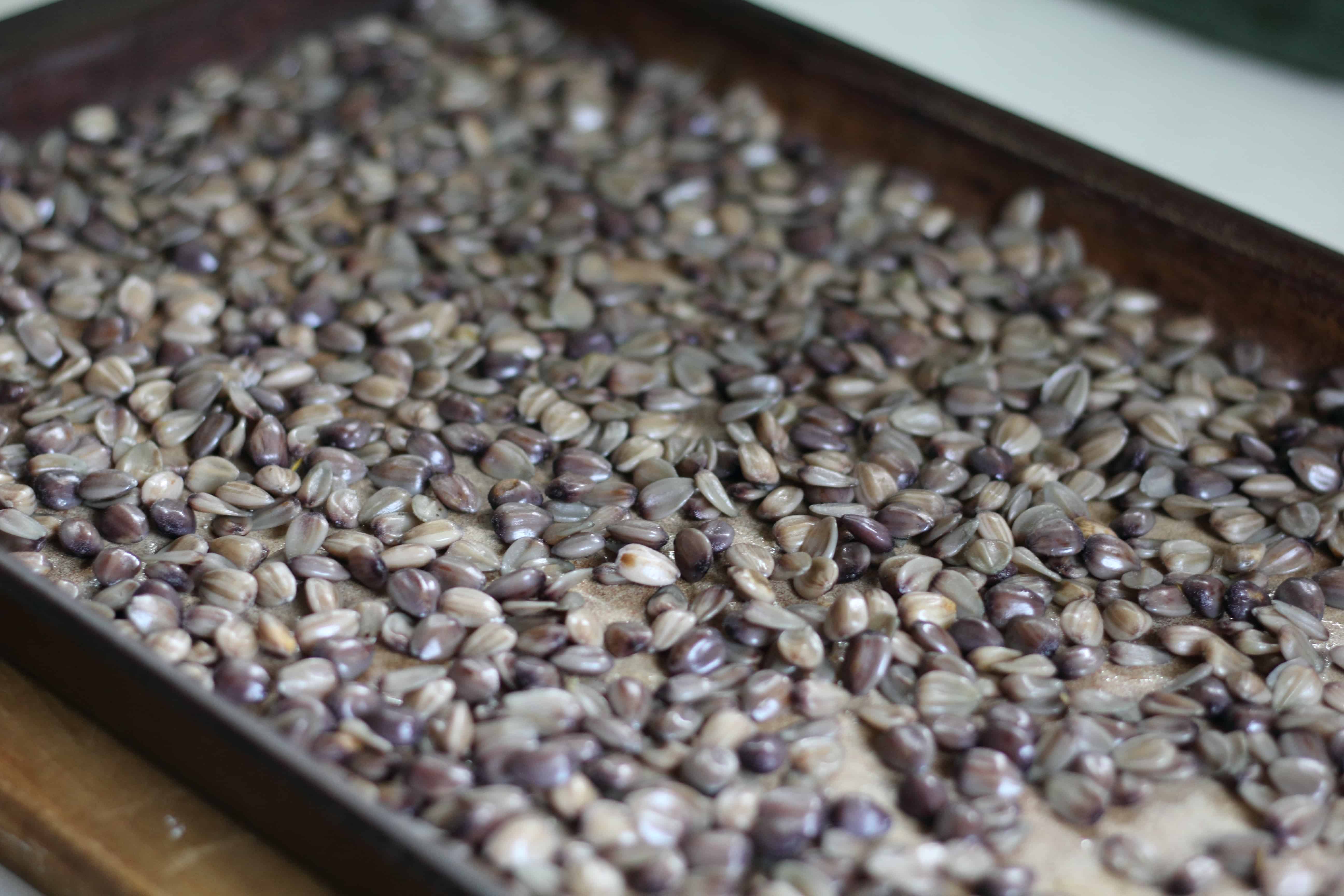 Roasted Sunflower Seeds (Kid Approved!) The Kitchen Garten