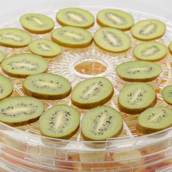 How To Dehydrate Kiwi The Kitchen Professor