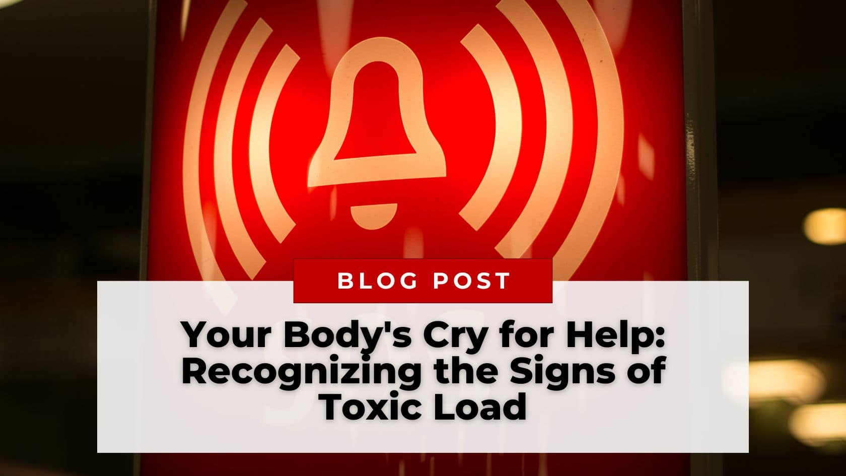 Your Body's Cry for Help Recognizing the Signs of Toxic Load The