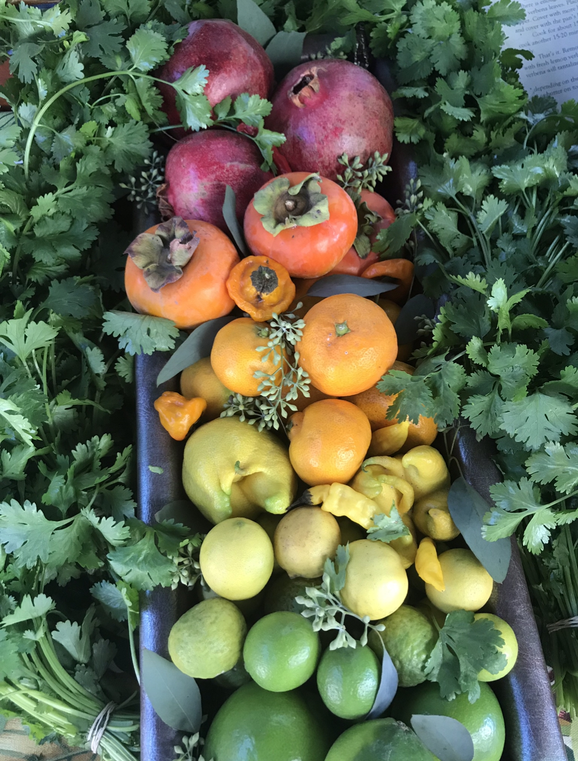 Top 10 Quarantine Cooking Tips for the home cook to save money and eat better