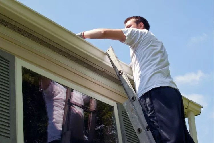 Can You Lean Ladder Against Gutter? (My Best Take)