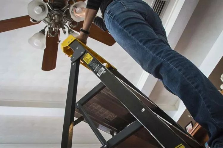 Gorilla vs Werner Ladder What's Better & Why in 2024