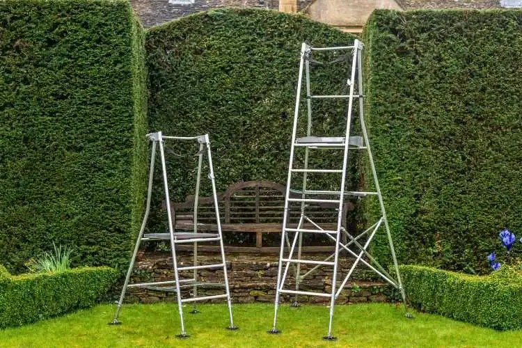 Best Ladder for Tree Trimming 2023 (An Exclusive Master List)