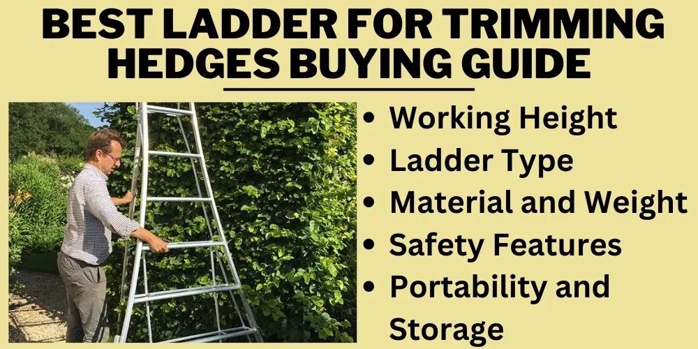 Best Ladder for Trimming Hedges 2023 (An Unbiased List)