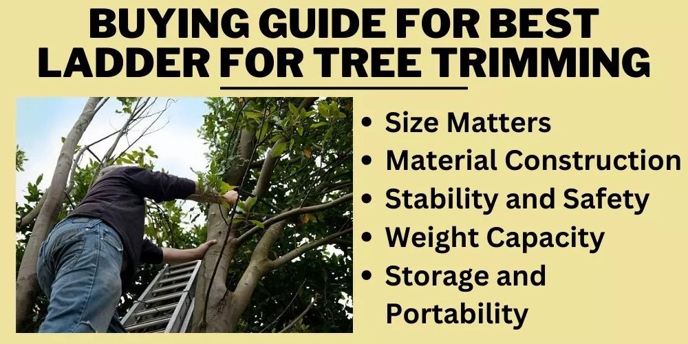 Best Ladder for Tree Trimming 2023 (An Exclusive Master List)