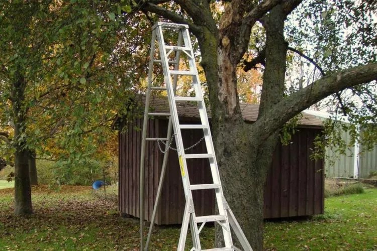 How To Lean A Ladder Against Vinyl Siding in 6 Easy Steps
