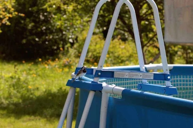 How To Keep A Pool Ladder From Floating? Expert's Guide